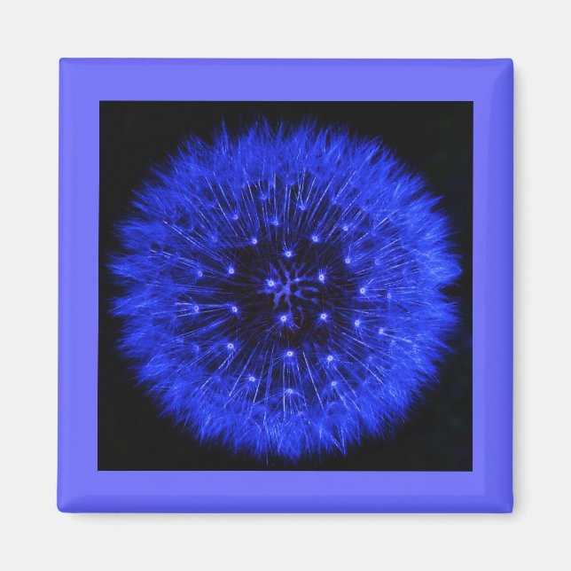 Imã Design Magnet de Dandelion Azul (Frente)