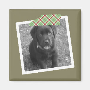 Imã Design personalizado do quadro da fita e da foto