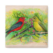Deslumbrante Pintura em Aquarela de Sanhaços-escar
