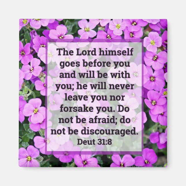 Imã Desuteronomia 31:8 Magnet (Frente)