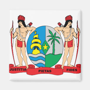 Imã Detalhe da brasão de Suriname
