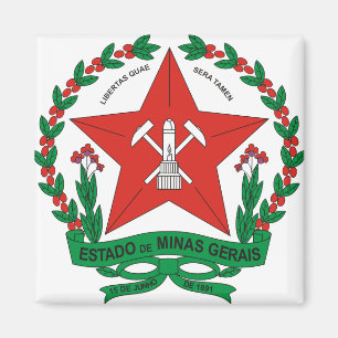 Imã Detalhe da brasão do Minas Gerais de Brasil