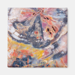 Imã Detalhe da madeira Petrificada, Arizona