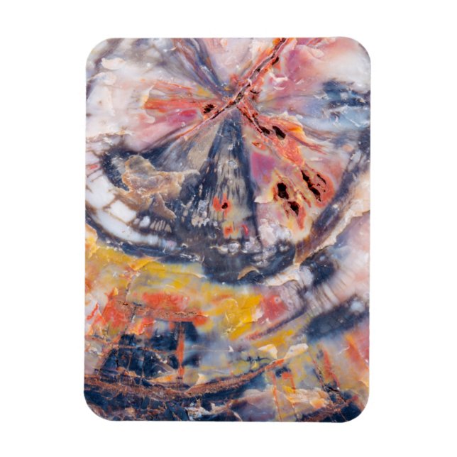 Ímã Detalhe da madeira Petrificada, Arizona (Vertical)