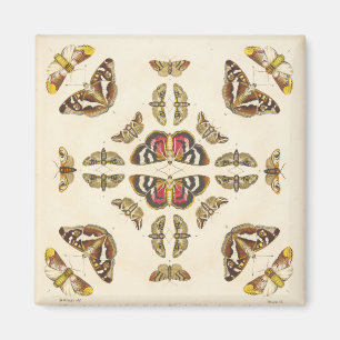 Imã Detalhe da placa VI