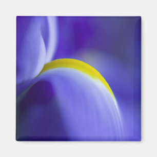 Imã Detalhe de aproximação de uma íris de Bandeira Azu