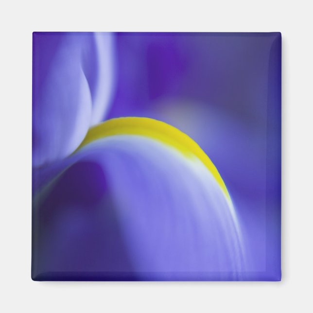 Imã Detalhe de aproximação de uma íris de Bandeira Azu (Frente)