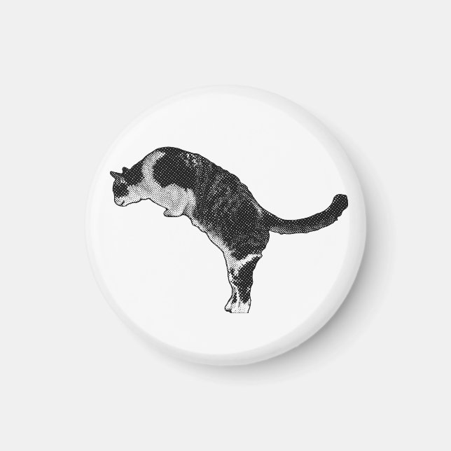 Imã Detalhe de Gato Magnético (Frente)