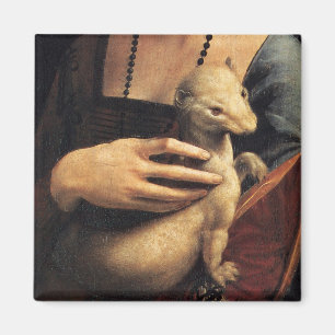 Imã Detalhe do arminho