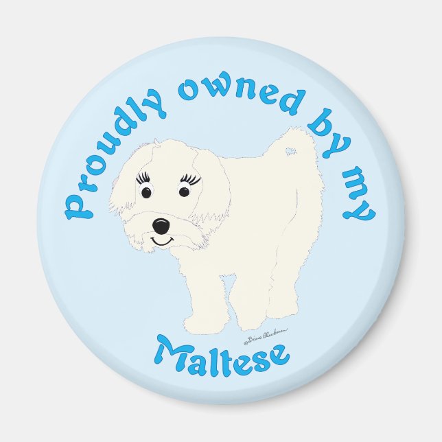Imã Detida orgulhosamente por um maltês (Frente)