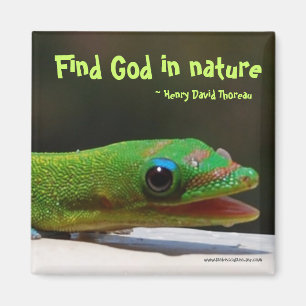 Imã Deus do achado na natureza