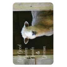 Deus É Uma Boa Ovelha