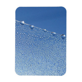 Ímã Dew Drops na aranha contra o céu azul