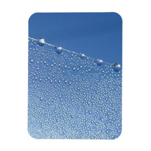 Ímã Dew Drops na aranha contra o céu azul