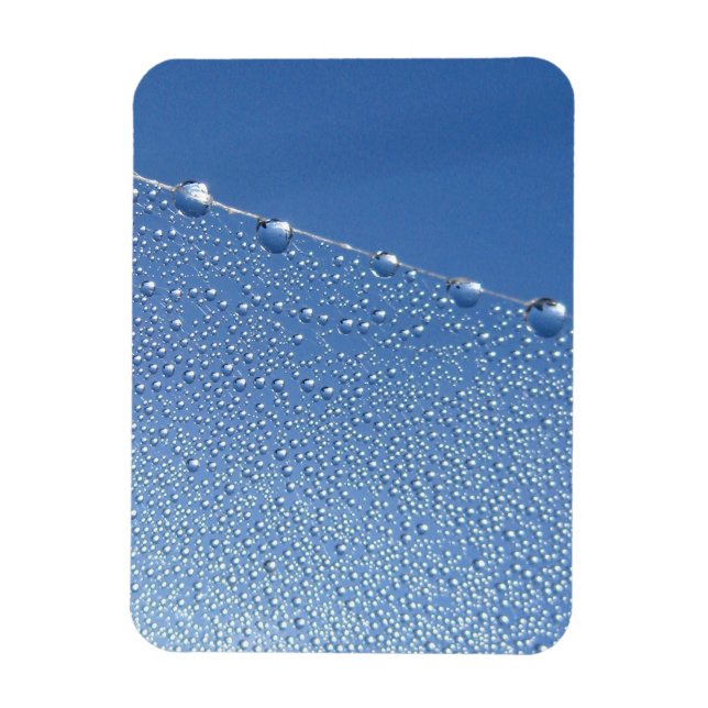 Ímã Dew Drops na aranha contra o céu azul (Vertical)