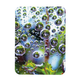 Ímã Dew Drops on Spider Web Amazing Nature