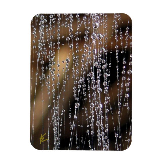 Ímã Dew Drops Sparkle on Spider Web Meditation (Vertical)