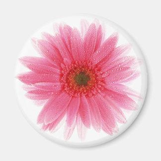 Imã Dewy Pink Gerbera Flower
