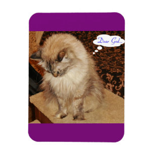 Ímã Dezi reza imã