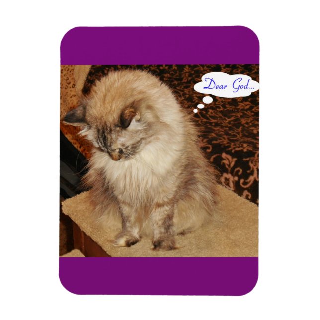 Ímã Dezi reza imã (Vertical)