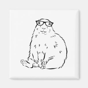 Imã Dia da Marmota _3