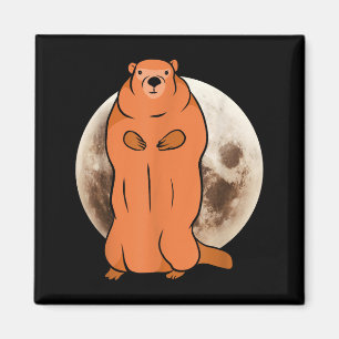 Imã Dia da Marmota Lua Cheia Marmota _2