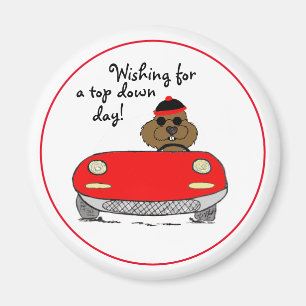 Imã Dia da Marmota Superior para Baixo