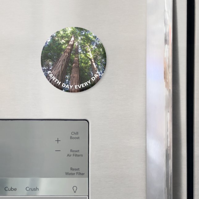 Imã Dia da Terra, Árvores de Sequoia (In Situ (Fridge))