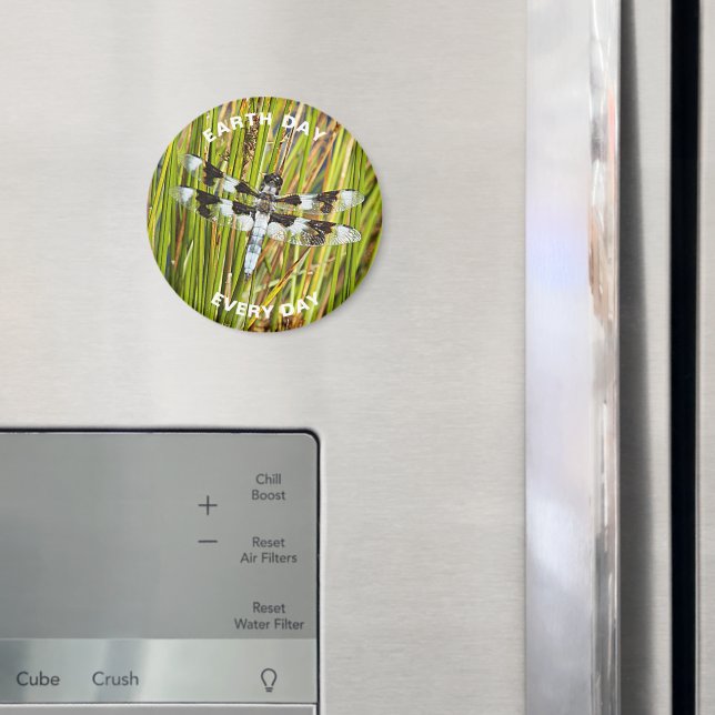 Imã Dia da Terra Todos Os Dias Dragonfly Branca Comum (In Situ (Fridge))