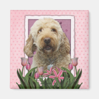 Imã Dia de as mães - Tulipas cor-de-rosa - Goldendoodl