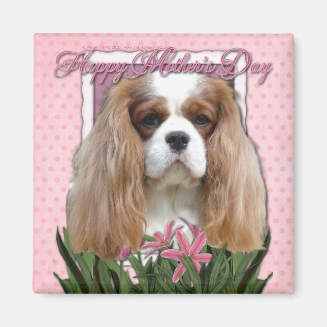 Imã Dia de as mães - Tulipas Rosa - Cavalier - Blenhei (Frente)