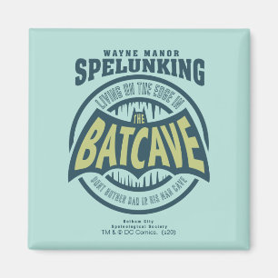 Imã Dia de os pais   Não incomode Pai em sua Batcavern