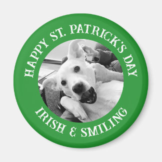 Imã Dia de São Patrício Engraçado Cachorro Irlandês e