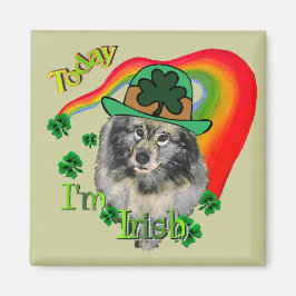 Imã Dia de São Patrício Keeshond
