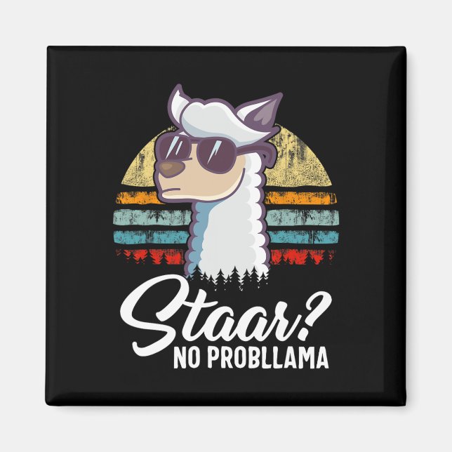 Imã Dia de Teste do Texas Llama Alpaca Para Estudantes (Frente)