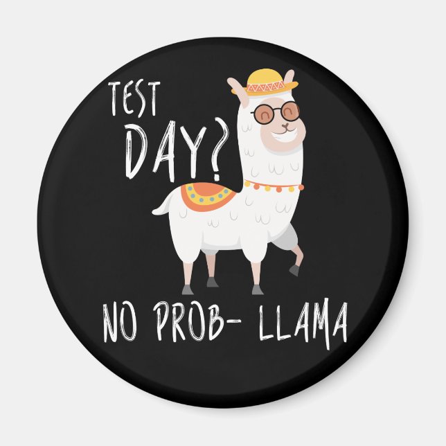 Imã Dia de Teste Sem Prob Llama Professora Ensinando E (Frente)
