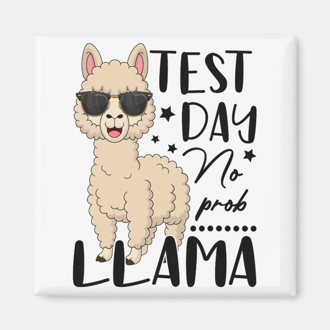 Imã Dia de Teste Sem Teste Prob Llama Estudante Teste  (Frente)