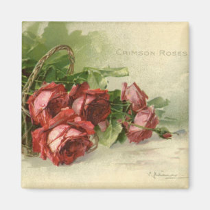Imã Dia dos namorados do vintage, rosas vermelhas