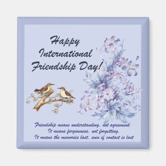 Imã Dia Internacional da Amizade.