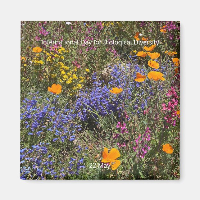 Imã Dia Internacional da Biodiversidade (Frente)