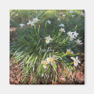 Imã Dia Mundial da Celebração: Íris