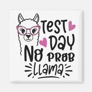 Imã Dia sem Prob-llama Llama Testando o Professor Dia