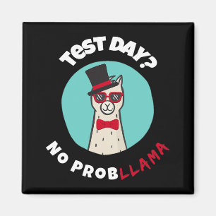 Imã Dia sem problemas Teste engraçado Llama Design