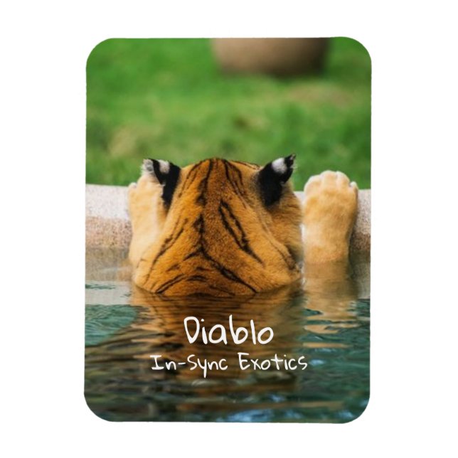 Ímã Diablo - (Vertical)