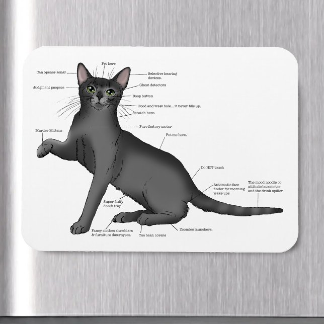Ímã Diagrama de Anatomia de Gato Engraçado Humor Nerd (Criador carregado)