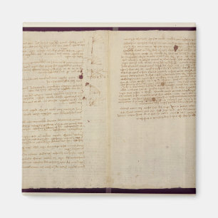 Imã Diagramas científicos