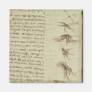 Imã Diagramas científicos