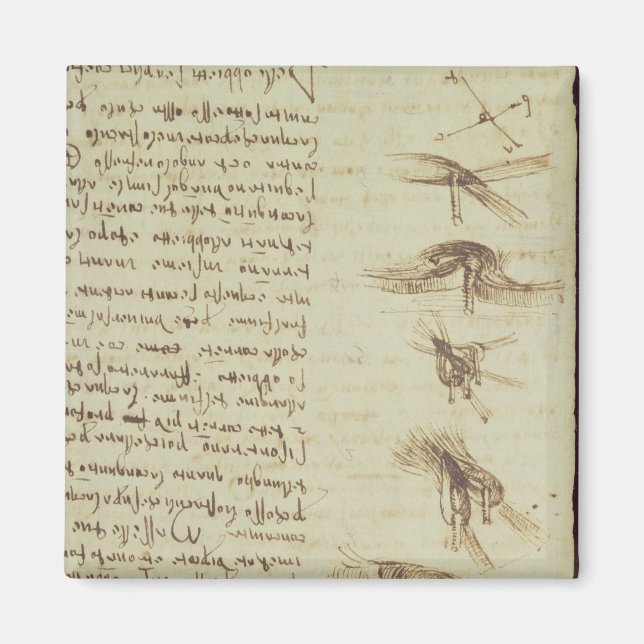 Imã Diagramas científicos (Frente)