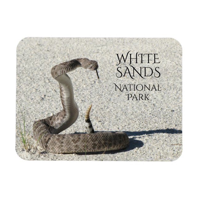 Ímã Diamondback Rattlesnake, White Sands National (Horizontal)