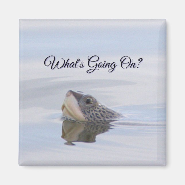 Imã Diamondback Terrapin Turtle Face Magnet (Frente)